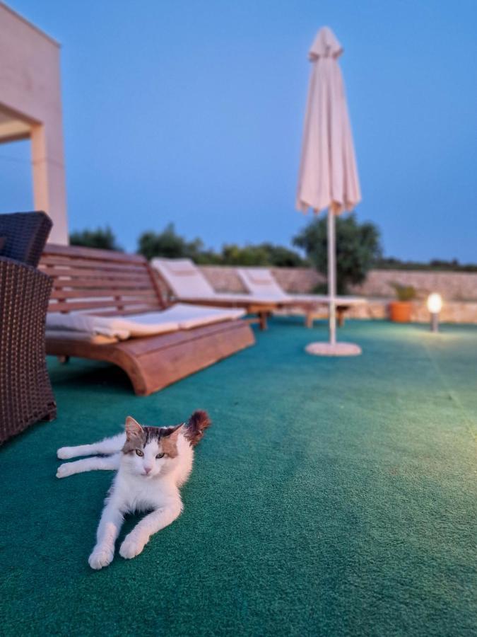 Vila Cicovac Novalja Bagian luar foto